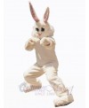 Easter Bunny Rabbit mascot costume