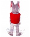 Easter Bunny Rabbit mascot costume