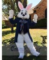 Easter Bunny Rabbit mascot costume