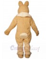 Easter Bunny Rabbit mascot costume