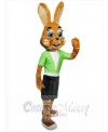 Easter Bunny Rabbit mascot costume