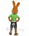 Easter Bunny Rabbit mascot costume