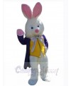 Easter Bunny Rabbit mascot costume