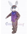 Easter Bunny Rabbit mascot costume