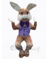 Easter Bunny Rabbit mascot costume