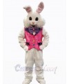 Easter Bunny Rabbit mascot costume