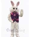 Easter Bunny Rabbit mascot costume