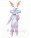 Easter Bunny Rabbit mascot costume