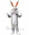 Easter Bunny Rabbit mascot costume