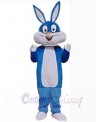 Easter Bunny Rabbit mascot costume