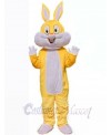 Easter Bunny Rabbit mascot costume