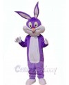 Easter Bunny Rabbit mascot costume