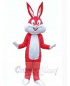 Easter Bunny Rabbit mascot costume