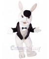 Easter Bunny Rabbit mascot costume