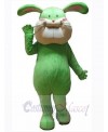 Easter Bunny Rabbit mascot costume