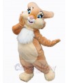 Easter Bunny Rabbit mascot costume