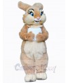 Easter Bunny Rabbit mascot costume