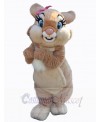 Easter Bunny Rabbit mascot costume