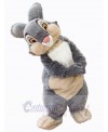 Easter Bunny Rabbit mascot costume