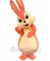 Easter Bunny Rabbit mascot costume