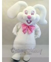 Easter Bunny Rabbit mascot costume