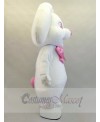 Easter Bunny Rabbit mascot costume