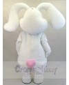 Easter Bunny Rabbit mascot costume