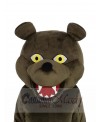 Grizzly Bear mascot costume