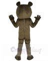 Grizzly Bear mascot costume