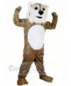 Strong Fierce Leopard Mascot Costumes Animal