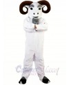 White Funny Ram Mascot Costume Adult Size Halloween 