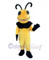 Hornet mascot costume