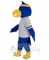 Falcon mascot costume