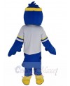 Falcon mascot costume