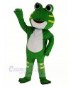 Cute Green Frog Mascot Costume