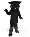 Panther mascot costume