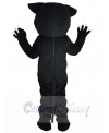 Panther mascot costume