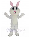 Easter Bunny mascot costume