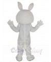 Easter Bunny mascot costume