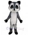 Raccoon mascot costume