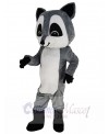 Raccoon mascot costume