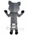 Raccoon mascot costume