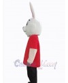Easter Bunny Rabbit mascot costume