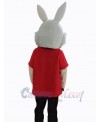 Easter Bunny Rabbit mascot costume