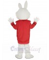 Wendell Rabbit mascot costume