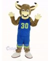 Texas Longhorns Bull in Blue Sportswear Mascot Costume