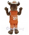 Longhorns Bull mascot costume