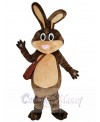 Easter Bunny mascot costume