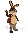 Easter Bunny mascot costume