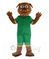 Brown Bulldog in Green Sweatshirt Mascot Costume